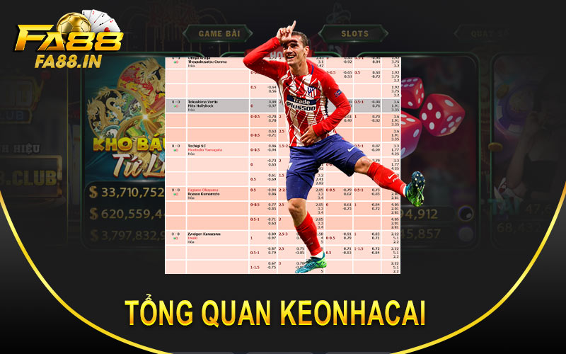 Tổng quan về Keonhacai