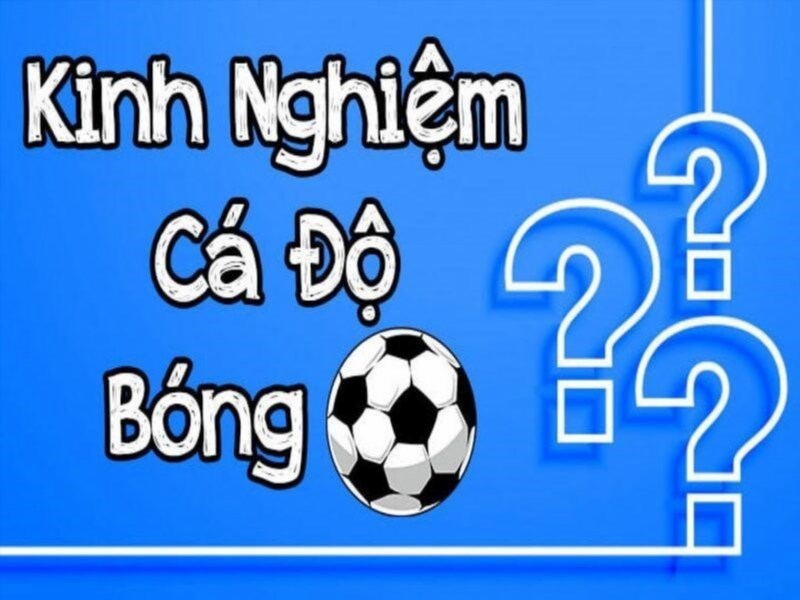 Anh em cá độ nên hiểu cách chọn thời điểm phù hợp để đặt kèo.